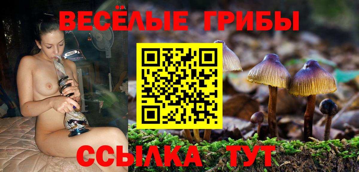Галлюциногенные грибы ЛСД Санкт-Петербург