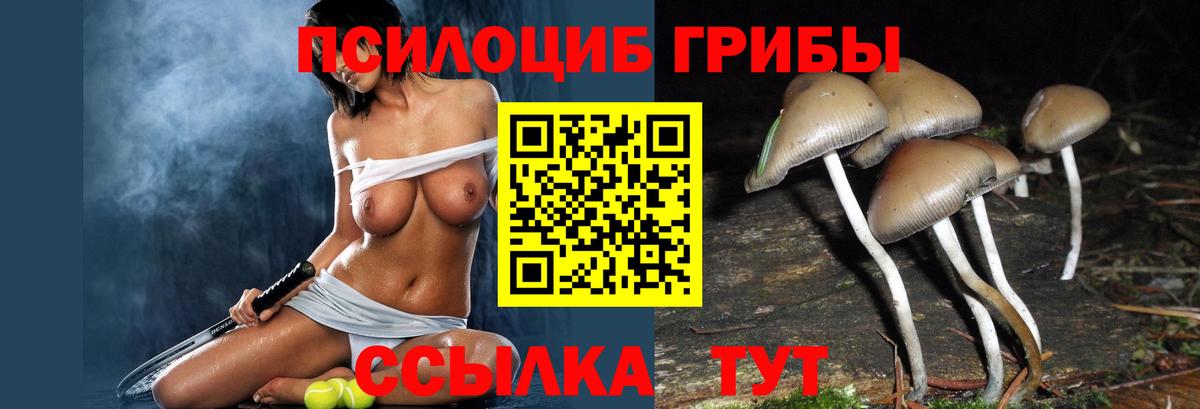 Галлюциногенные грибы ЛСД  Псилоцибиновые грибы прущие грибы  Санкт-Петербург  даркнет сайт  Вход с VPN 