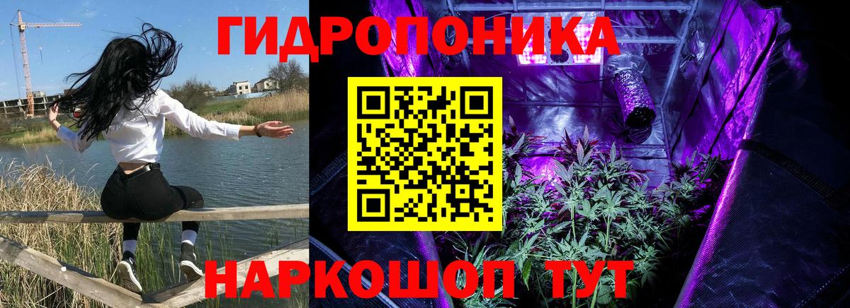 Конопля конопля Санкт-Петербург